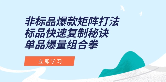 图片[1]-【2025.06.14】非标品爆款矩阵打法，标品快速复制秘诀，单品爆量组合拳百度网盘免费下载-芽米宝库