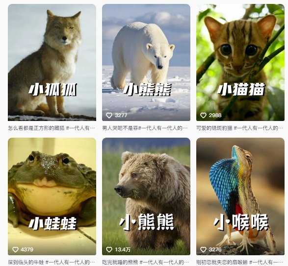 图片[2]-【2025.07.12】最新搞笑动物百科详细解说课程，蓝海赛道，流量非常大，轻松签独家进精选百度网盘免费下载-芽米宝库