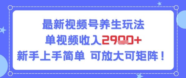 【2025.07.12】视频号养生玩法，单视频收入2.9k，新手上手简单百度网盘免费下载-芽米宝库