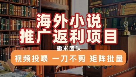 图片[1]-【2025.07.13】海外小说推广返利项目，视频投喂， 一刀不剪，矩阵批量百度网盘免费下载-芽米宝库