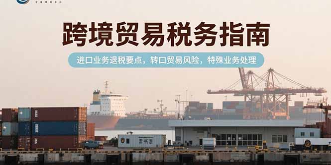 【2025.07.15】跨境贸易税务指南，进口业务退税要点，转口贸易风险，特殊业务处理百度网盘免费下载-芽米宝库