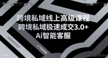 【2025.07.21】跨境私域线上高级课程，跨境私域极速成交3.0+Ai智能客服百度网盘免费下载-芽米宝库