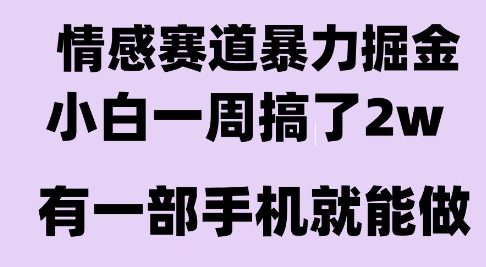 【2025.07.21】情感暴力掘金项目，新人操作一周挣了2W，长期稳定小白可做百度网盘免费下载-芽米宝库