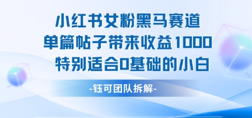 【2025.07.24】小红书女粉黑马赛道单篇帖子带来收益1k+，特别适合0基础的小白百度网盘免费下载-芽米宝库