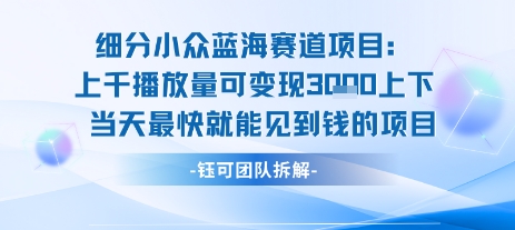 【2025.07.27】小众蓝海赛道项目：当天变现1k+适合新手操作 +适合长期玩百度网盘免费下载-芽米宝库