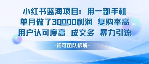 【2025.07.27】小红书蓝海项目，一部手机单月做了3W利润，小白也能月入过1W用户认可度高成交多百度网盘免费下载-芽米宝库