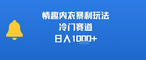 图片[1]-【2025.07.27】情趣内衣暴利玩法，冷门赛道，日入1k+百度网盘免费下载-芽米宝库