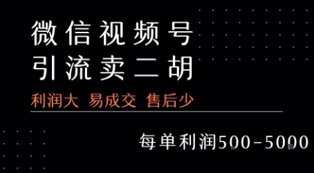 【2025.07.27】视频号卖二胡教程，利润大 易成交 售后少，一单利润500+百度网盘免费下载-芽米宝库
