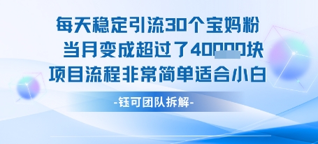 图片[1]-【2025.07.26】每天稳定引流30个人 当月变成超过了4个W 项目流程非常简单 适合小白百度网盘免费下载-芽米宝库