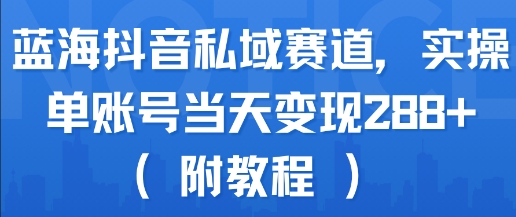 【2025.07.28】蓝海抖音私域赛道，实操单账号当天变现288+(附教程)百度网盘免费下载-芽米宝库