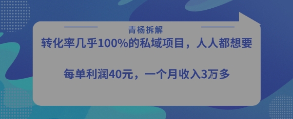 【2025.07.29】转化率最高的私域项目，每单利润40-50米，月入过1w百度网盘免费下载-芽米宝库