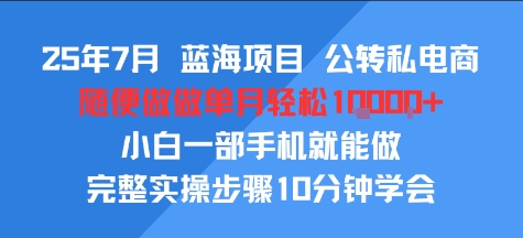 图片[1]-【2025.07.29】25年7月蓝海项目，公转私电商，随便做做单月轻松1w，小白一部手机就能做，完整实操步骤10分钟学会百度网盘免费下载-芽米宝库