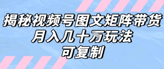 【2025.07.31】解密视频号图文矩阵带货，月入几个W的打法，可复制百度网盘免费下载-芽米宝库