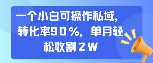 【2025.07.30】一个小白可操作私域，转化率90%，单月轻松收割2W百度网盘免费下载-芽米宝库