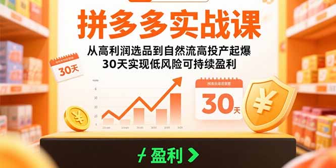 图片[1]-【2025.08.05】拼多多实战课：从高利润选品到自然流高投产起爆 30天实现低风险可持续盈利百度网盘免费下载-芽米宝库