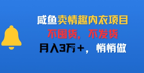 【2025.08.05】闲鱼卖情趣内衣项目，不囤货，不发货，月入3W+，悄悄做百度网盘免费下载-芽米宝库