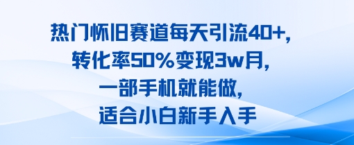图片[1]-【2025.08.04】热门怀旧赛道每天引流40+，转化率50%月变现3w，一部手机就能做，适合小白新手入手百度网盘免费下载-芽米宝库