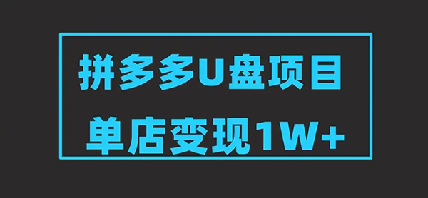图片[1]-【2025.08.06】2025版拼多多冷门虚拟U盘项目玩法，单店铺月变现1w+，稳赚不赔！百度网盘免费下载-芽米宝库