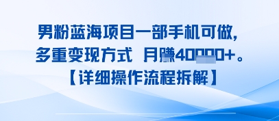 【2025.08.06】8月新男粉蓝海项目一部手机可做，多重变现方式 月入4W+【详细操作流程拆解】百度网盘免费下载-芽米宝库