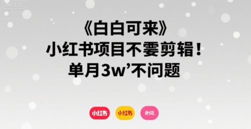 图片[1]-【2025.08.06】小白可来 小红书项目不需要剪辑 单月3w不是问题百度网盘免费下载-芽米宝库