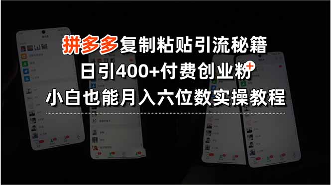 【2025.08.07】拼多多复制粘贴引流秘籍，日引400+付费创业粉，小白也能月入六位数实操教程百度网盘免费下载-芽米宝库