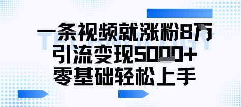 图片[1]-【2025.08.11】一条视频就涨粉8W引流变现5k+，0基础项目轻松上手百度网盘免费下载-芽米宝库