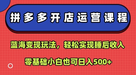 【2025.08.24】拼多多开店运营课程：蓝海变现玩法，轻松实现睡后收入，零基础小白也可日入500+百度网盘免费下载-芽米宝库